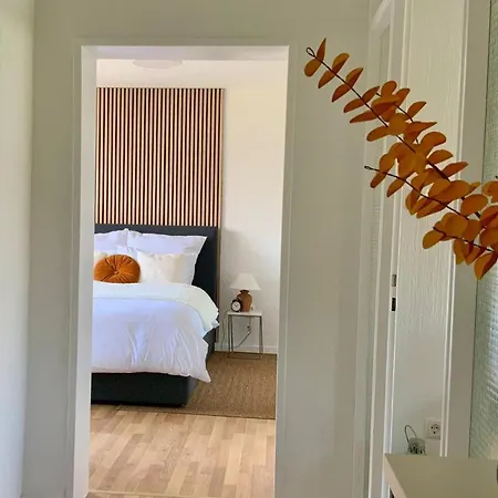 Apartman Bright 2br Family-friendly -basf - Free Parking - Super Fast Wifi Ludwigshafen am Rhein