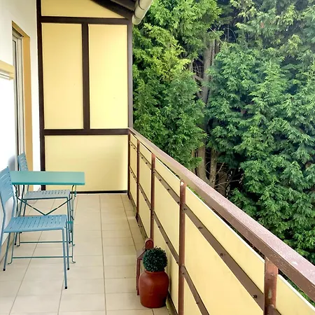 Bright 2br Family-friendly -basf - Free Parking - Super Fast Wifi アパート ルートウィヒスハーフェン・アム・ライン
